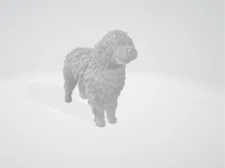 pet