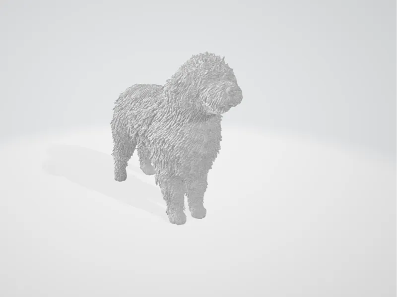 pet