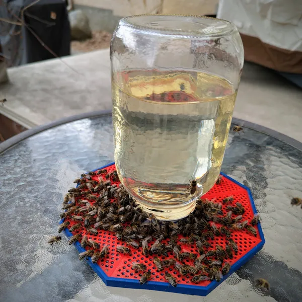 Abreuvoir à bocal pour abeilles sécurisé