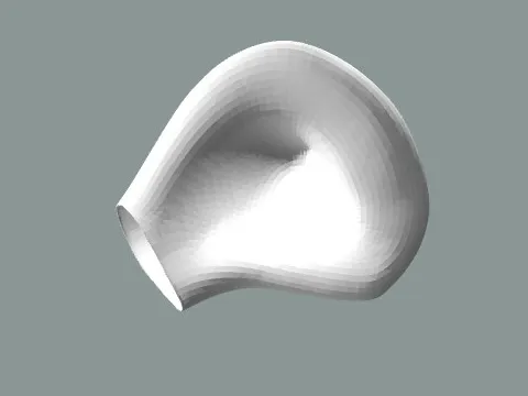 shell