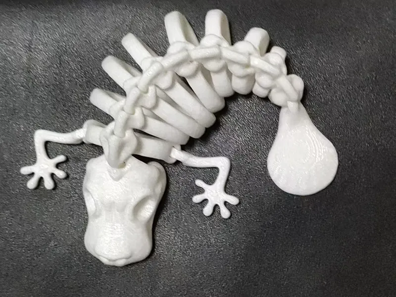 无支撑 骨生物可活动