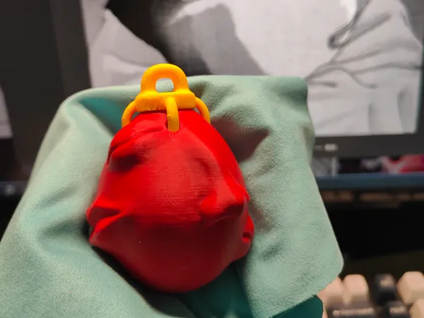 https://makerworld.bblmw.com/makerworld/model/DSM00000001423120/design/2025-05-17_f5228b07130d9.jpg