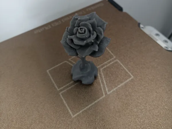 https://makerworld.bblmw.com/makerworld/model/DSM00000001423301/design/2025-05-16_abd7af645b3ee.jpg