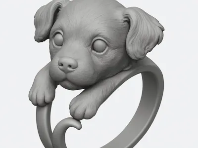 dog ring