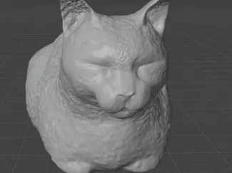 Cat Load with texture