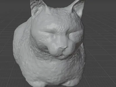 Cat Load with texture