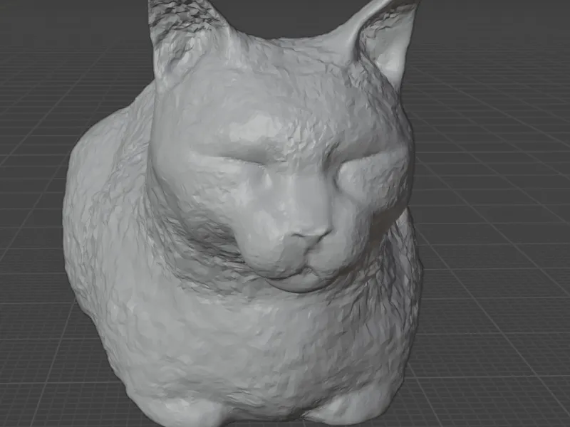 Cat Load with texture