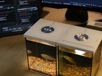 15x15 Aquarium cover 