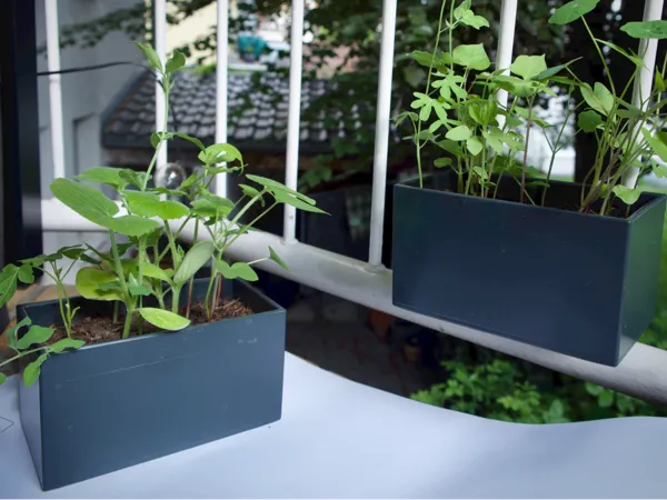 https://makerworld.bblmw.com/makerworld/model/DSM00000001424831/design/2025-05-17_0c3f680cc6dd58.jpeg