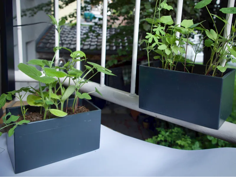 Balcony planter