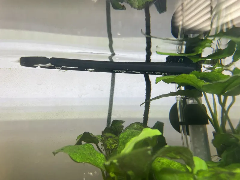 Aquarium Air Filter - Splash Guard