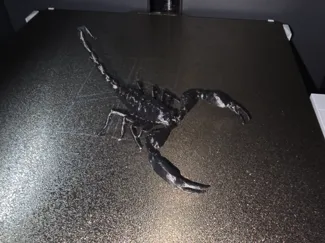 Eleganter Skorpion