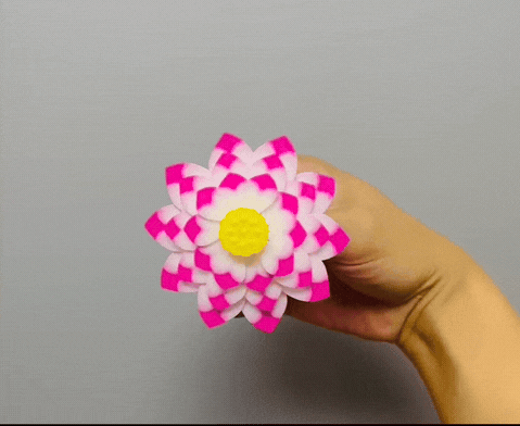 旋转的莲花