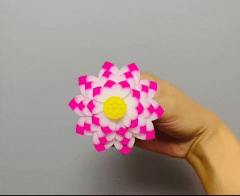 https://makerworld.bblmw.com/makerworld/model/DSM00000001425833/design/2025-05-17_986a6bf68e4448.gif