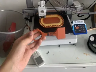 bed scraper