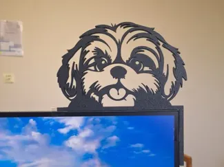 shi tzu