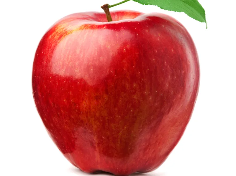 Appel Fruit