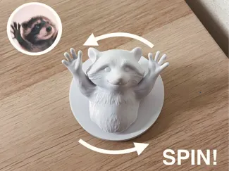 Spinning Raccoon - Pedro Pe Meme
