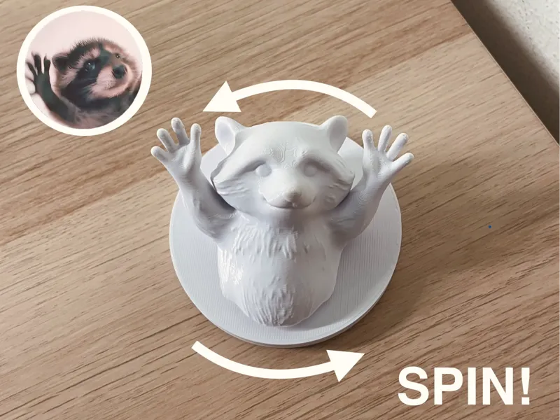 Spinning Raccoon - Pedro Pe Meme