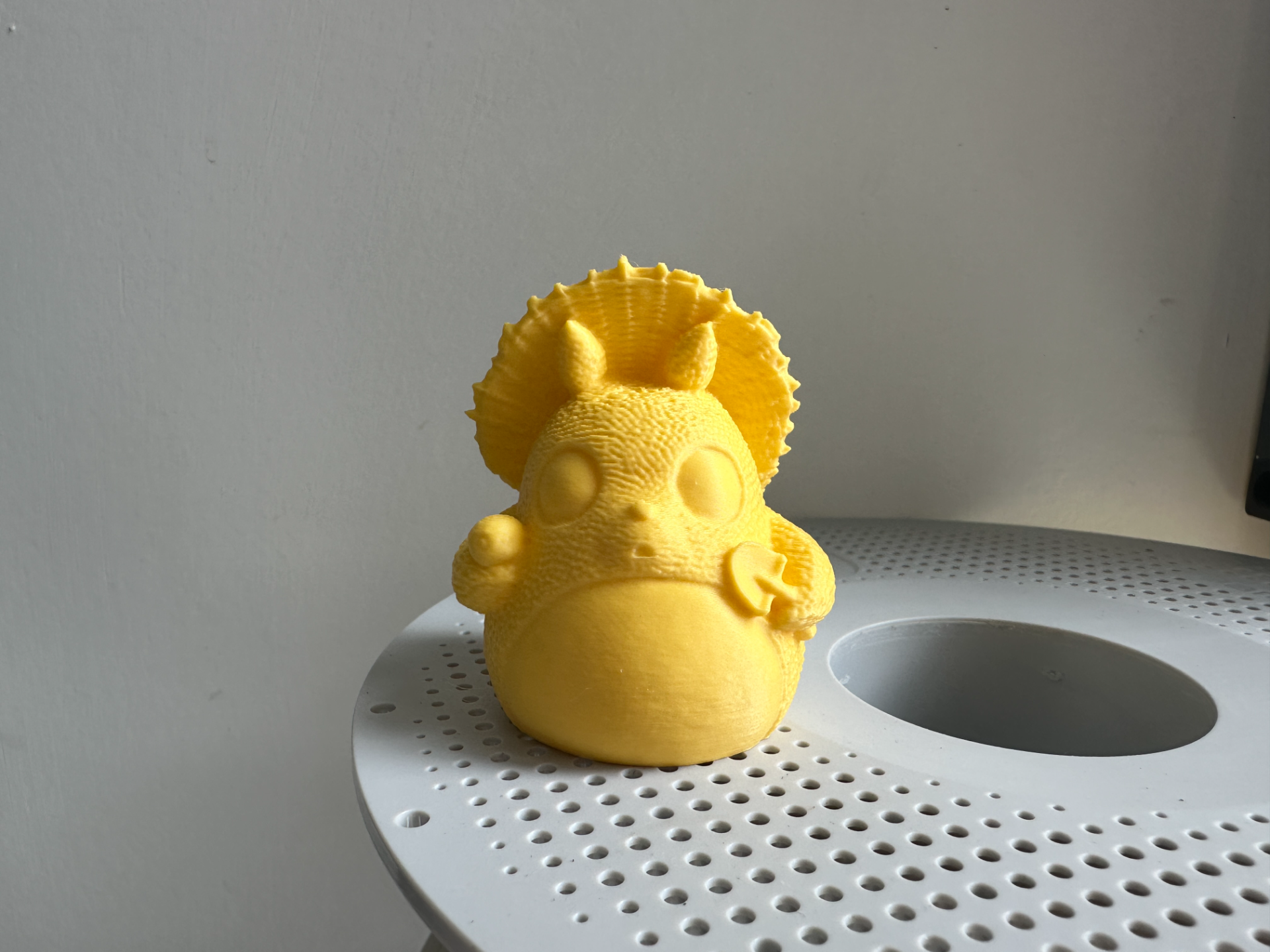 ビカクシダ 26willinckii\"Totoro\"YellowMoonDwarfspore willinckii yellow moon dwarf spore ビカクシダ - メルカリ