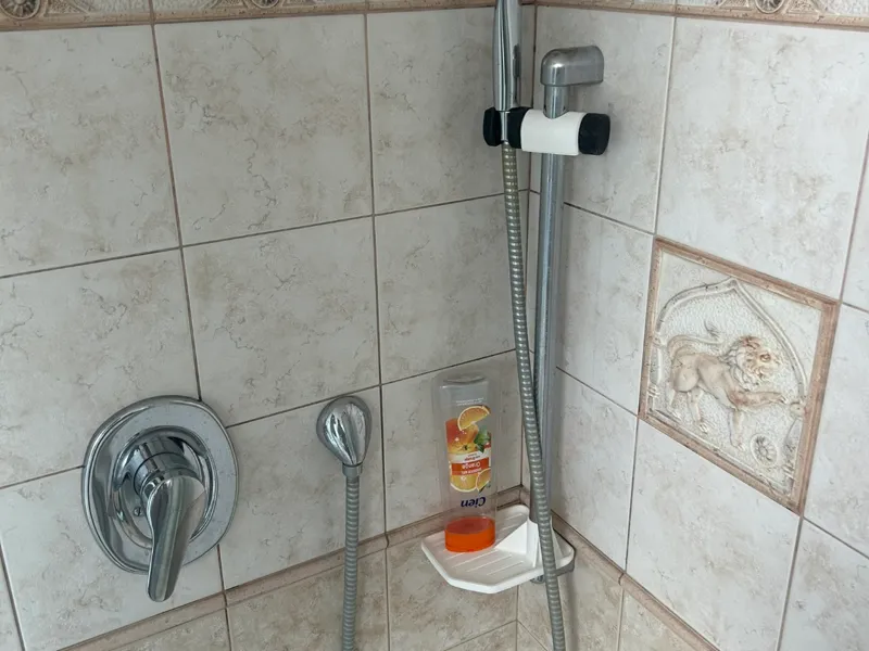 Shower Head Holder / Shower Assembly