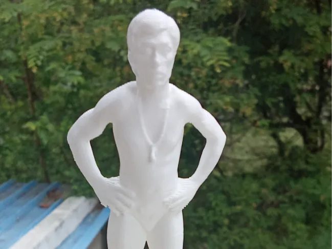 Indian pailwan 