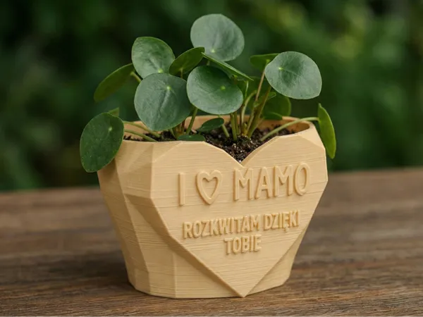 https://makerworld.bblmw.com/makerworld/model/DSM00000001434217/design/2026-01-17_ffc56ea406545.png
