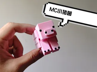 MC 我的世界 小猪菌