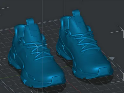 Athletic shoes