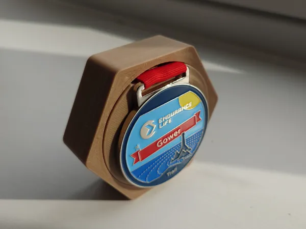 https://makerworld.bblmw.com/makerworld/model/DSM00000001437641/design/2025-05-20_812d06e7338c5.jpg