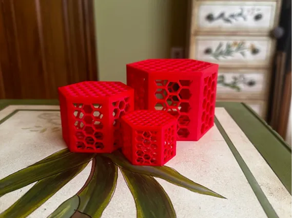 Coral Frag / Mushroom Cage
