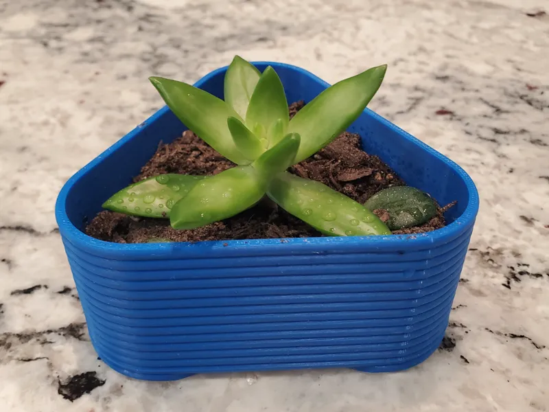 Triangular Pot For Succulent