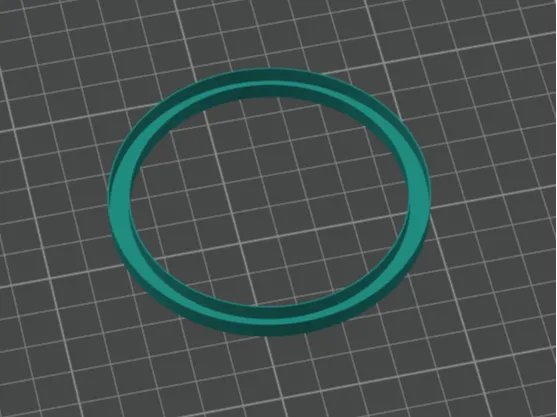 Ring 73 mm