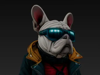 COOL DOG 