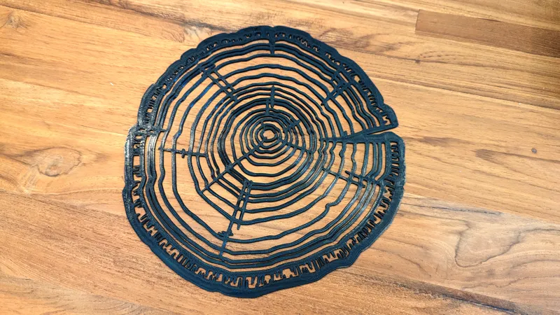 Tree Ring wall art