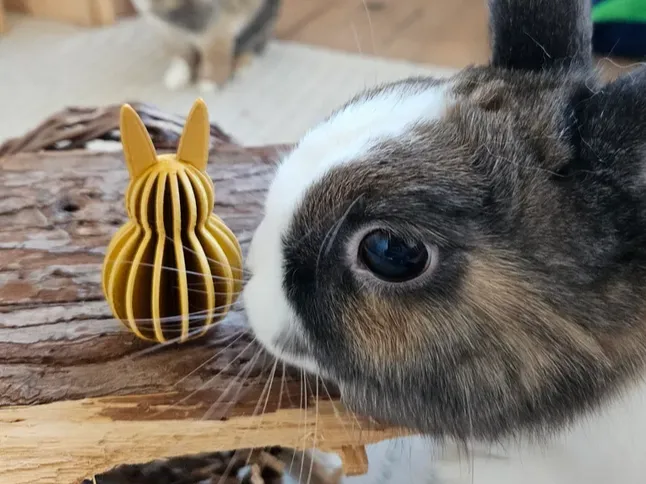 Simplified Bunny