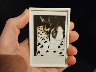 Instax Mini Frame with wall mount