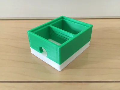 Founding Ant Nest