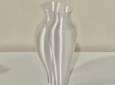Twin Vases