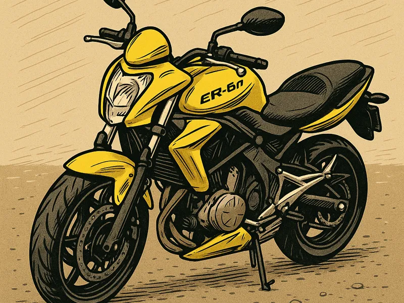 Kawasaki ER-6N Lichtkasten