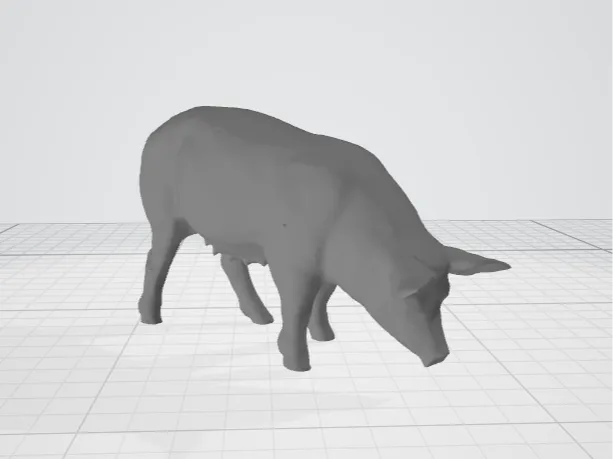 pig