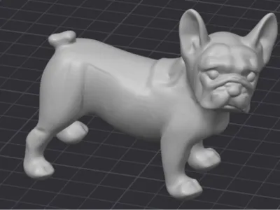 French Bulldog