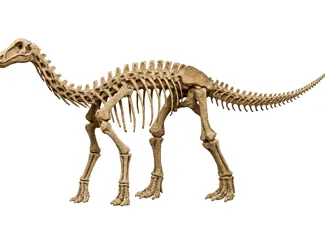Dinossauro