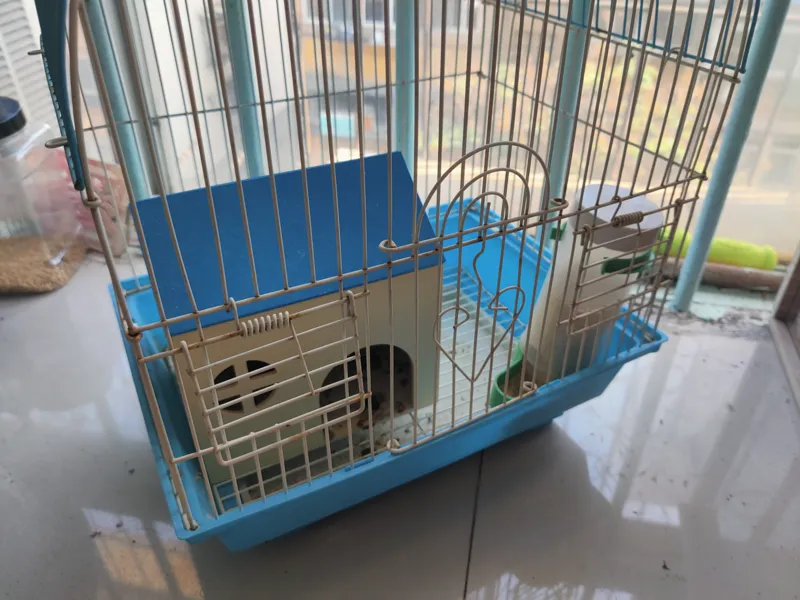 芦丁鸡躲避屋小房子