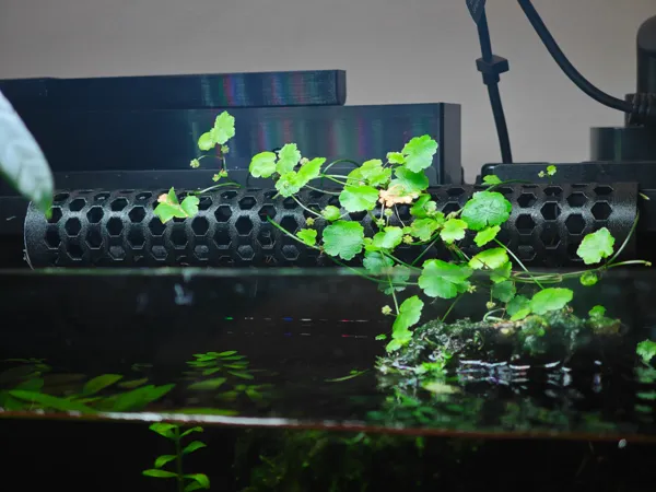 https://makerworld.bblmw.com/makerworld/model/DSM00000001455604/design/2025-05-26_fb93cb60e73cd.jpg