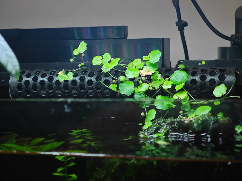 小米鱼缸一代植物攀爬架