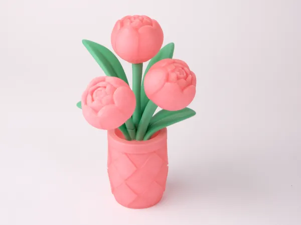 https://makerworld.bblmw.com/makerworld/model/DSM00000001456214/design/2025-05-26_7b9eb435d13a08.jpg