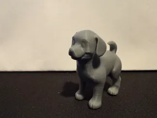 little dog