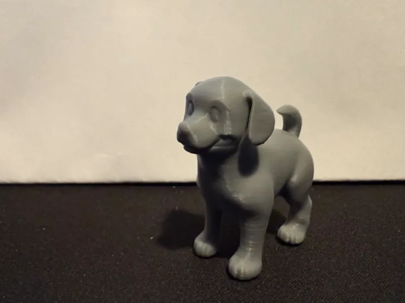 little dog