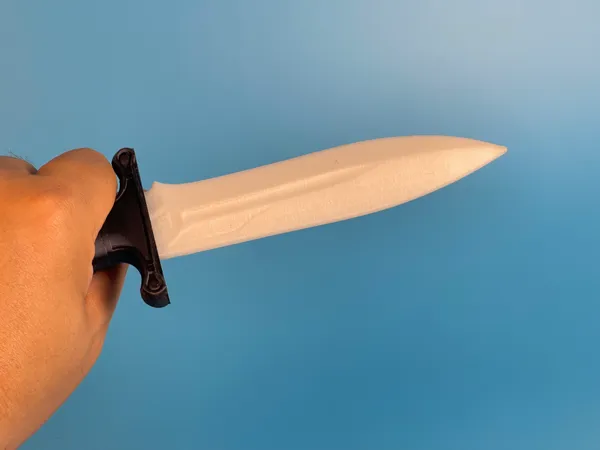 https://makerworld.bblmw.com/makerworld/model/DSM00000001457989/design/2025-05-27_c9d030c97dfda8.jpg